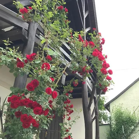 Rózsa Porta Сasa de vacaciones