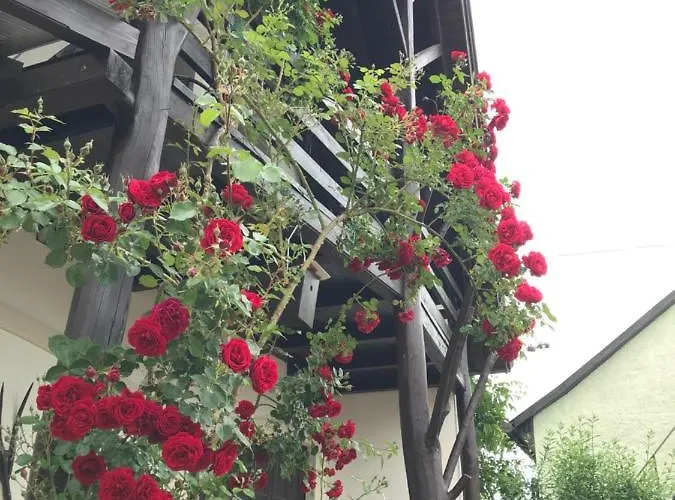 Rozsa Porta בית נופש